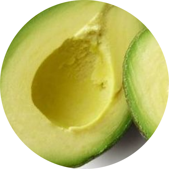 ALMETTE с авокадо