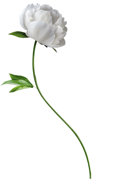 Преимущества продукта